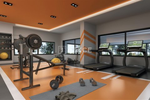 3 chambres Penthouse à Chau Lang, Vietnam No. 88759 12