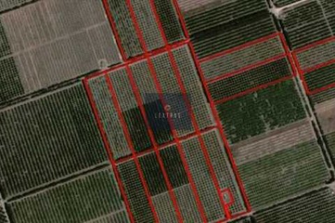 Commercial property in Limassol, Cyprus No. 104466 1