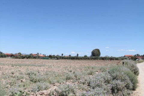 21200m² Land in Chalkidiki, Greece No. 109725 5