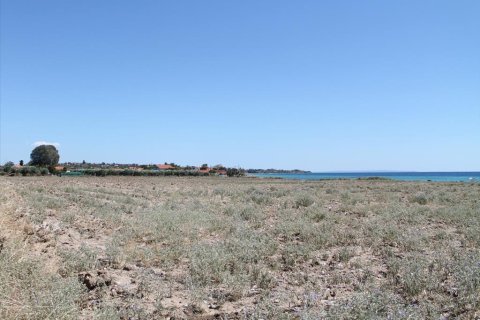 21200m² Land in Chalkidiki, Greece No. 109725 4