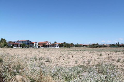 21200m² Land in Chalkidiki, Greece No. 109725 3