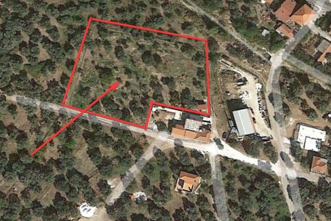 3734m² Land en Thasos, Greece No. 109291