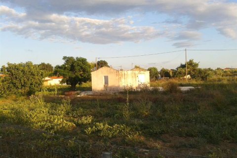 Land à Zakynthos, Greece No. 28058 7