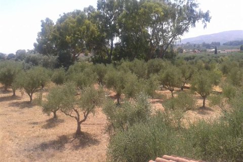 House in Zakynthos, Greece No. 24553 5