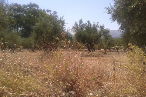 House in Zakynthos, Greece No. 24553 13