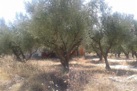 House in Zakynthos, Greece No. 24553 2