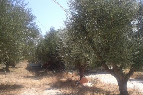 House in Zakynthos, Greece No. 24553 6