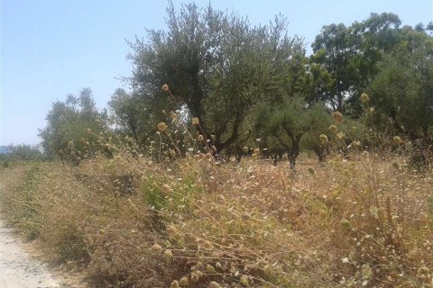 House in Zakynthos, Greece No. 24553 12