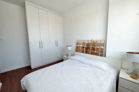 Дом с 3 спальнями в Пила, Кипр №40289 12