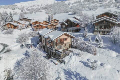 Дом с 6 спальнями в Бельвиль, Франция №100056 1