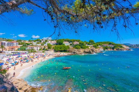 4 bedrooms Villa in Si Ma Cai, Vietnam No. 85911 11