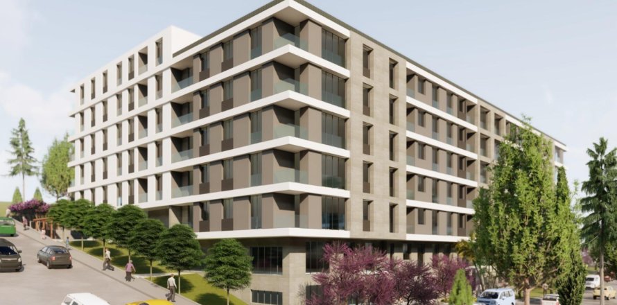 Studio Apartment in Kien Thuy, Vietnam No. 13558