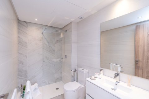 3 bedrooms Penthouse in Tan Quang, Vietnam No. 27004 17