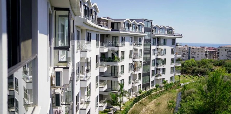 3 rooms Apartment in Lien Chieu, Vietnam No. 12357