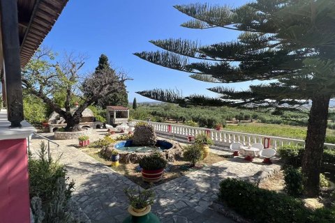 Дом с 3 спальнями в Закинтос, Греция №69540 22