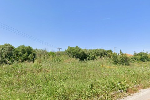 1374m² Land in Chalkidiki, Greece No. 117575 3
