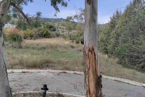 4 bedrooms House in Koropi, Greece No. 59696 9