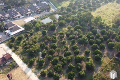 Land in Chiang Mai, Thailand No. 97886 9