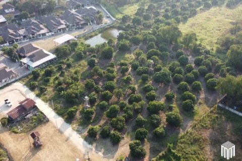 Land in Chiang Mai, Thailand No. 97886 14