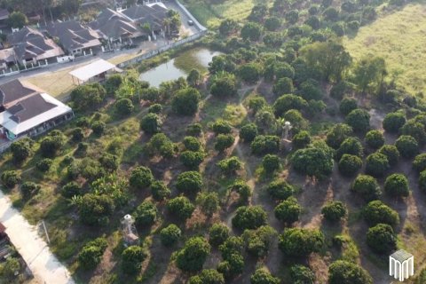 Land in Chiang Mai, Thailand No. 97886 10