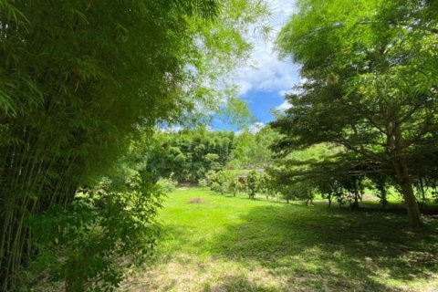 5 bedrooms House in Chiang Mai, Thailand No. 2585 28