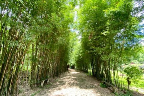 5 bedrooms House in Chiang Mai, Thailand No. 2585 1