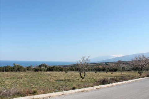 1200m² Land in Litochoro, Greece No. 59800 2