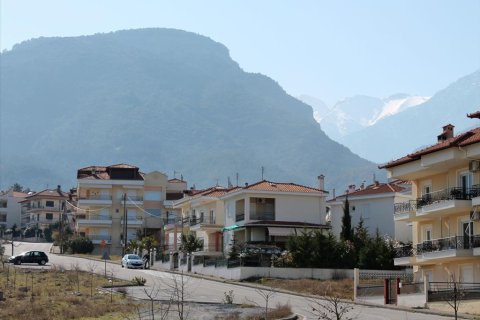 1200m² Land in Litochoro, Greece No. 59800 1