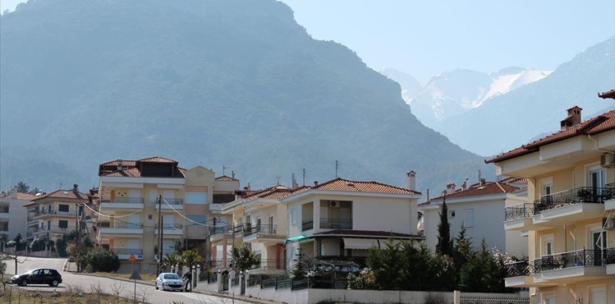 1200m² Land in Litochoro, Greece No. 59800