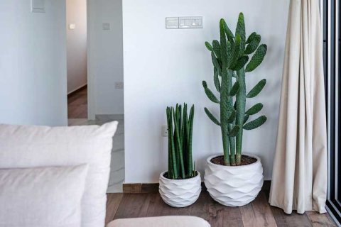 3 bedrooms Penthouse in Limassol, Cyprus No. 101899 7