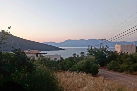 5 bedrooms House in Euboea, Greece No. 117777 14