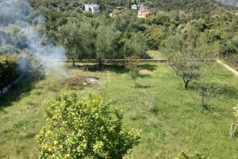 5 bedrooms House in Euboea, Greece No. 117777 13