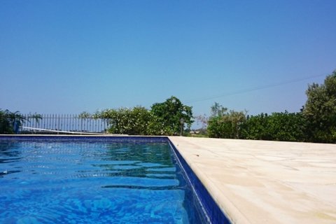 Studio Villa à Paphos, Cyprus No. 105754 15