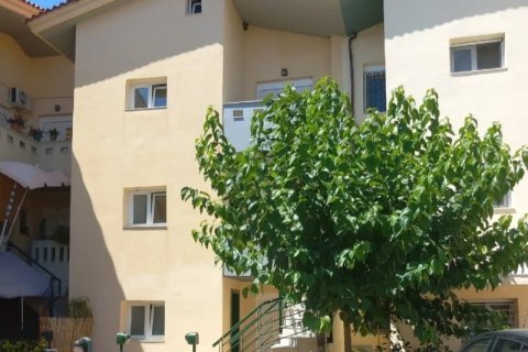 2 bedrooms Maisonette in Oraiokastro, Greece No. 108233 1
