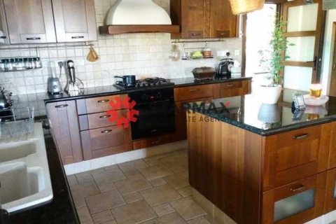 5 chambres House à Alethriko, Cyprus No. 83561 10