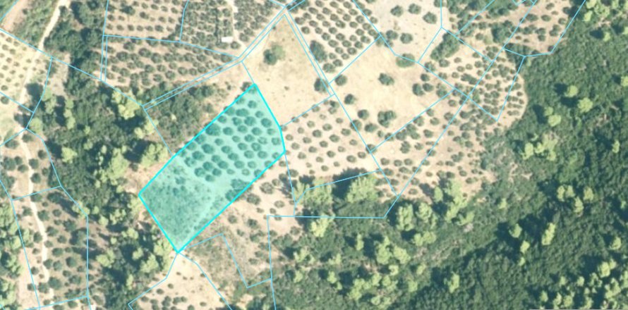 4903m² Land in Chalkidiki, Greece No. 108507