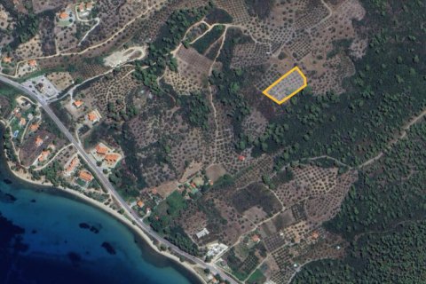 4903m² Land in Chalkidiki, Greece No. 108507 3