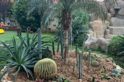 2 bedrooms Apartment in Bo Ha, Vietnam No. 12748 9