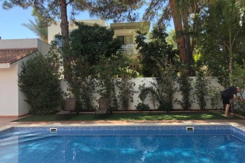 5 bedrooms Villa in Enkomi, Cyprus No. 66529 12