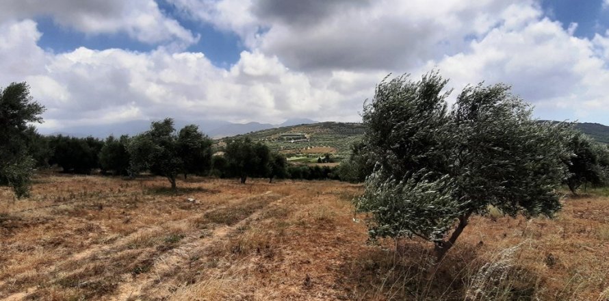 15000m² Land in Heraklion, Greece No. 56536