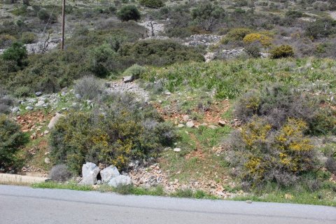 Земельный участок 12000м² в Неаполис, Греция №57474 7