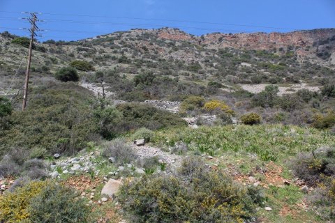 Земельный участок 12000м² в Неаполис, Греция №57474 6