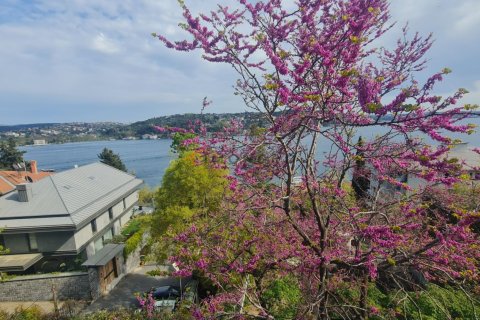 4 dormitorios Apartment en Besiktas, Turkey No. 125263