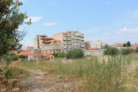 3700m² Land en Xylokastro, Greece No. 60293 4