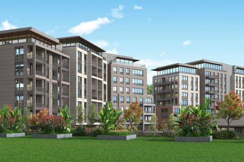 2 bedrooms Apartment in Bach Long Vi, Vietnam No. 12034 8