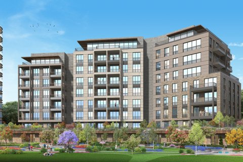 2 bedrooms Apartment in Bach Long Vi, Vietnam No. 12034 11