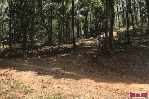 73600m² Land in Phang Nga, Thailand No. 96752 5