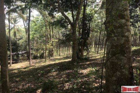 73600m² Land in Phang Nga, Thailand No. 96752 9
