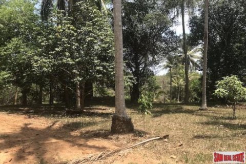 73600m² Land in Phang Nga, Thailand No. 96752 7
