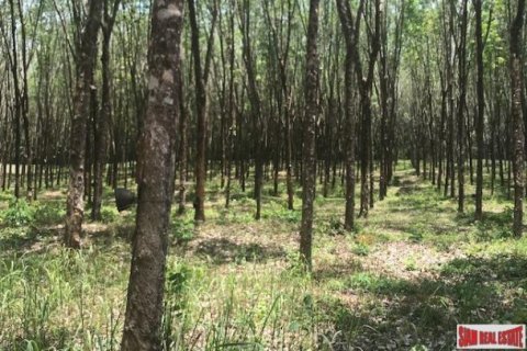 73600m² Land in Phang Nga, Thailand No. 96752 10